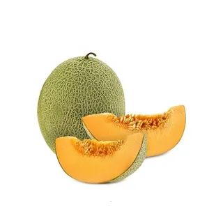 Rockmelon Iran