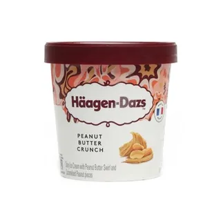 Haagen Dazs Peanut Butter Crunch Icecream 460ml