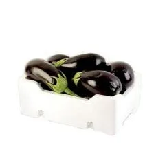 علبة رغوة الباذنجان