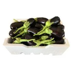 علبة باذنجان