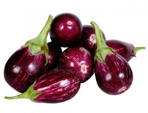 Eggplant Round Kuwaiti Kg