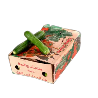 خيار باكت