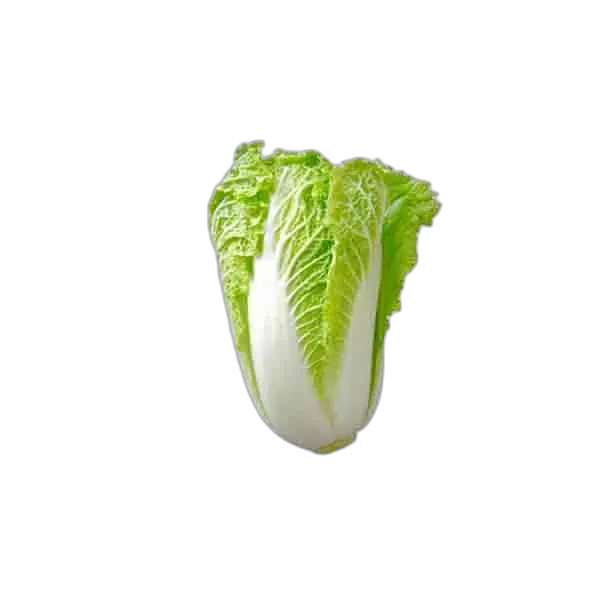 Cabbage China pcs