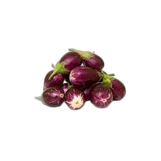 برينجال/بايجون صغير (استيراد)