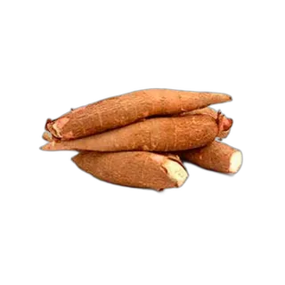 التابيوكا الهند للكيلو