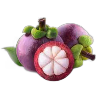 Mangosteen Box