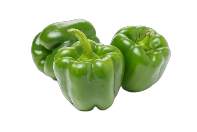 Capsicum Jordan per kg