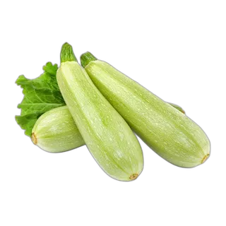 كوسا الأردن للكيلو