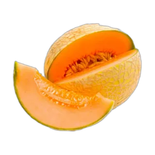 شمام كونتالوب