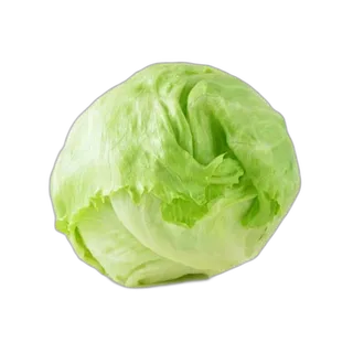 Lettuce Iceberg Jordan per kg