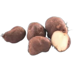 البطاطس الصينية (كوركا)