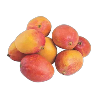 Mango Yemen per kg
