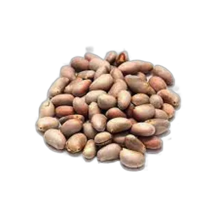 Jack Fruit Seeds Indian per kg