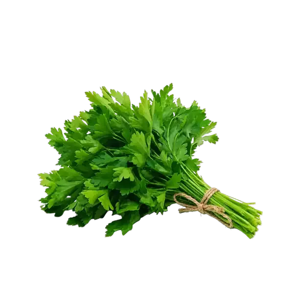 قطع باجدونيس