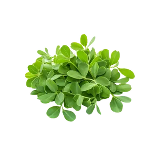 Methi Leaves Piece