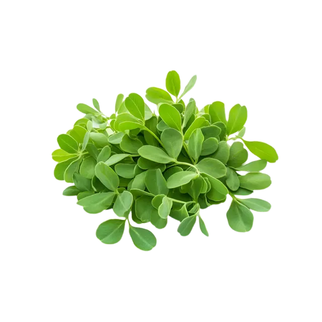 Methi Leaves Piece