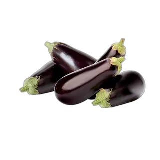 Egg Plant Kuwait per kg