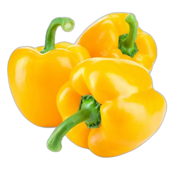 Capsicum Yellow Jordan per kg