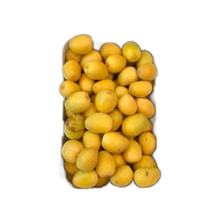 علبة (علب) رغوة التمر الطازج بالكيلوواط