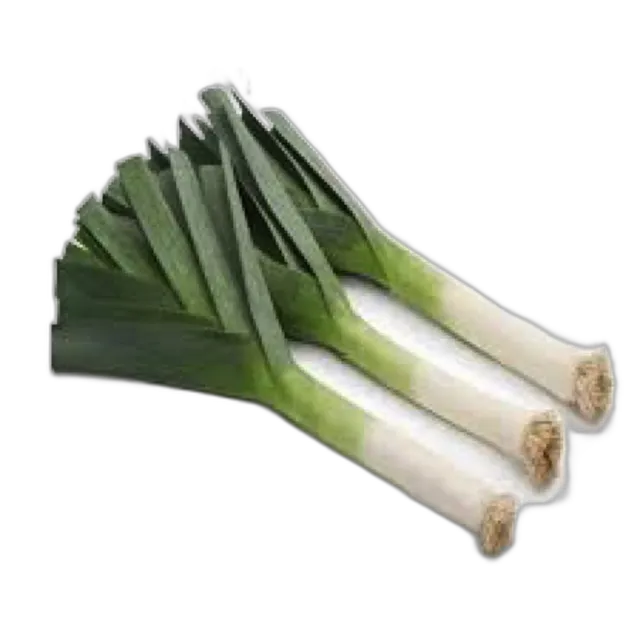 الكراث هولندا للكيلو