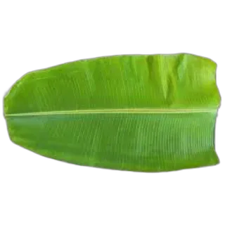 Banana Leaves pcs