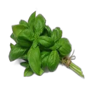 Green Leaves pcs