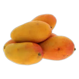 Mango Taimoor Egypt per kg