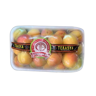 Apricot Ajmi Tray Turkey per kg