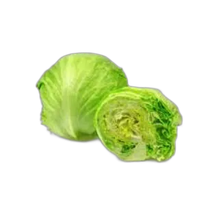 Lettuce Lolo Rosso pcs
