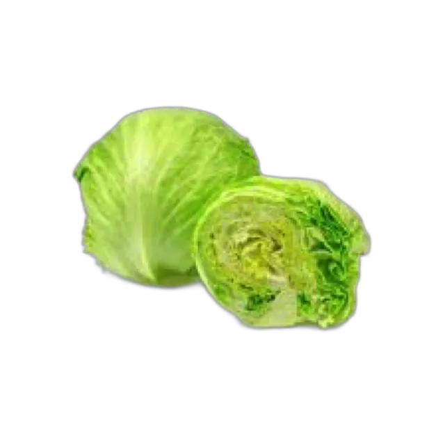 Lettuce Lolo Rosso pcs