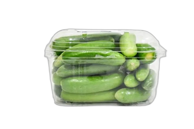 Baby Cucumber Kuwait PP Box (S)
