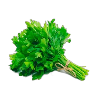 Coriander Leaves Pieces