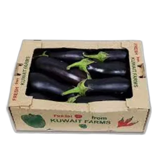 Egg Plant Box