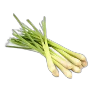 Lemon Grass Kuwait per kg