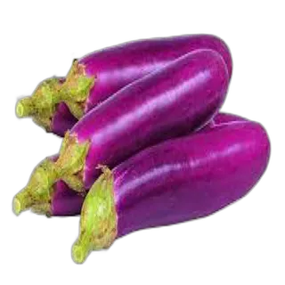 Egg Plant Long per kg