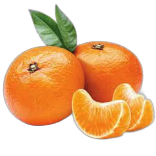 Mandarin Nadorcott South Africa per kg