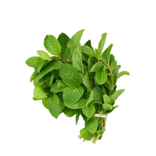Mint Leaves India Piece