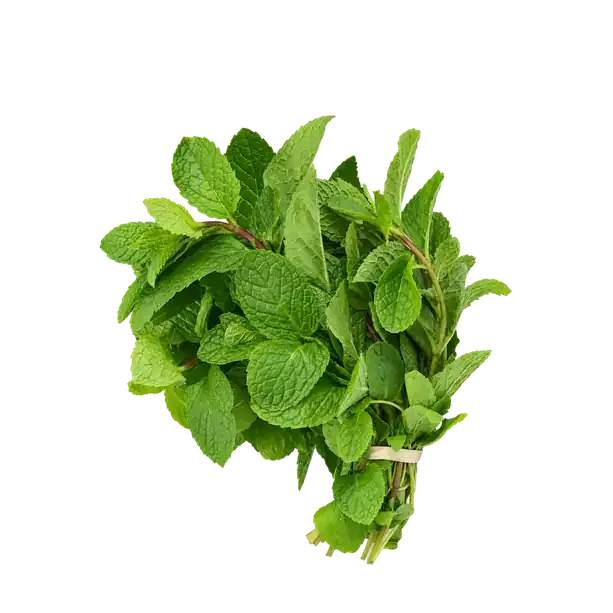 Mint Leaves India Piece