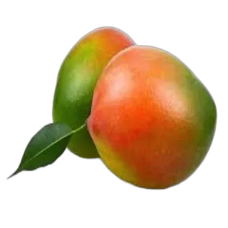 Mango Keeth Egypt per kg