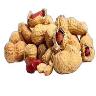 Fresh Peanut per kg