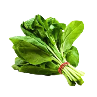 قطع بالاك