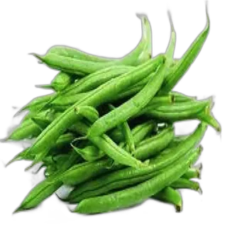 فاصوليا خضراء