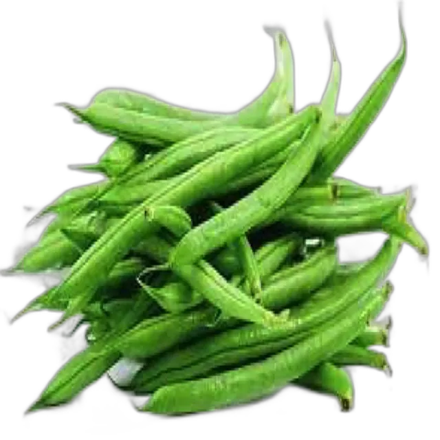 فاصوليا خضراء