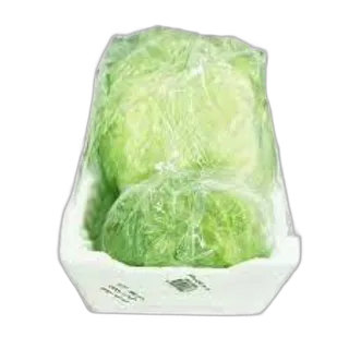 Lettuce Iceberg Foam Box-Small