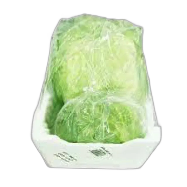 Lettuce Iceberg Foam Box-Small