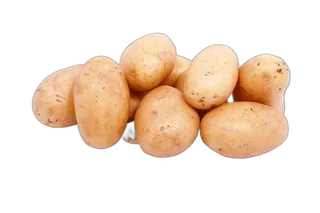 بطاطا (سورية) للكيلو