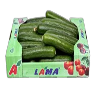 خيار صندوق صغير
