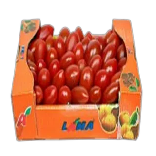 طماطم كرزية صغيرة
