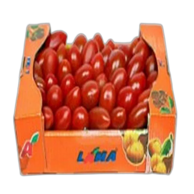 طماطم كرزية صغيرة