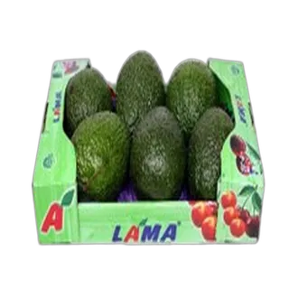 Avocatua Small Box